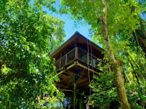 Cairns Rainforest Retreat Cairns